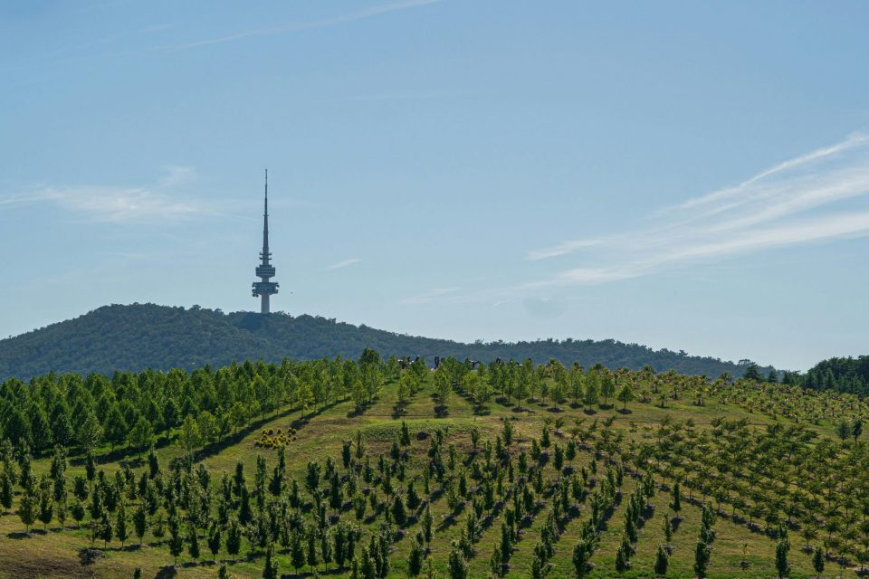 pexels-jakeheinemann-16820530